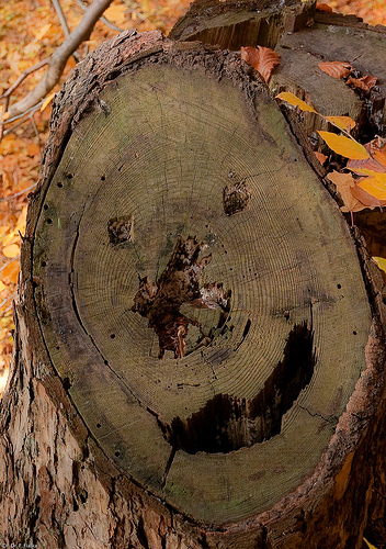 happy smiley tree