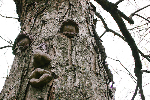 Tree Kiss