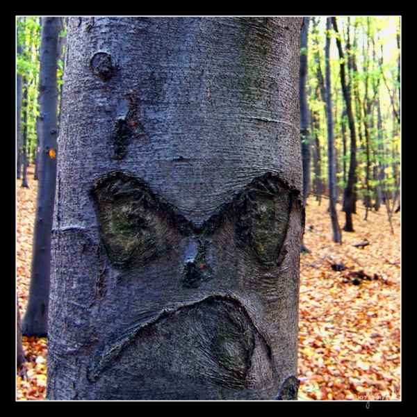 Angry Tree