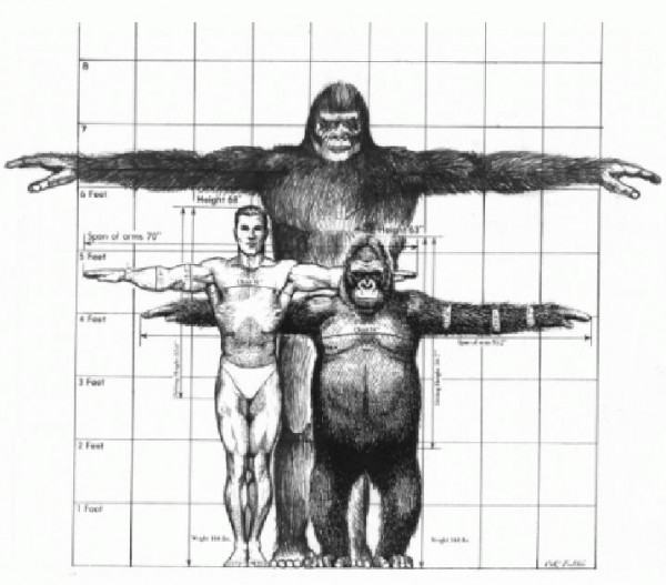 Sasquatch