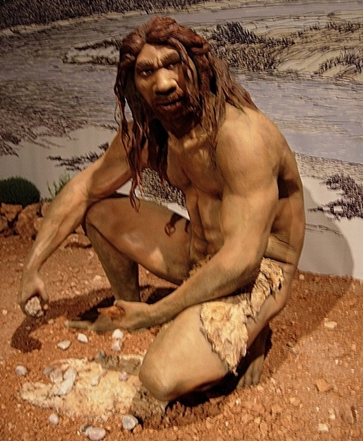 Homo_heidelbergensis