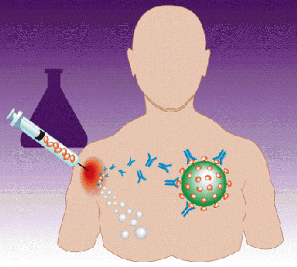 making_vaccines