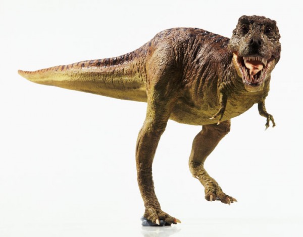 t rex