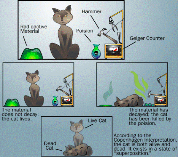 Schrödinger's cat