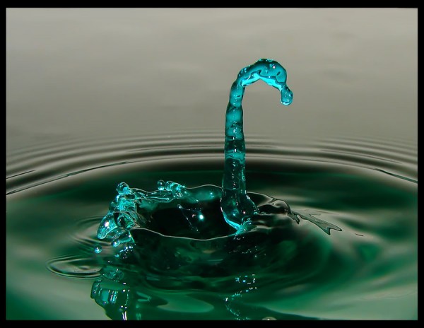 Liqud Water Sculpture Swan