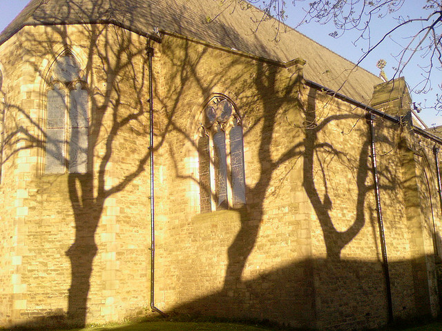 Shadows of trees on a house