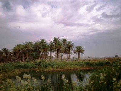 Abrahams Oasis