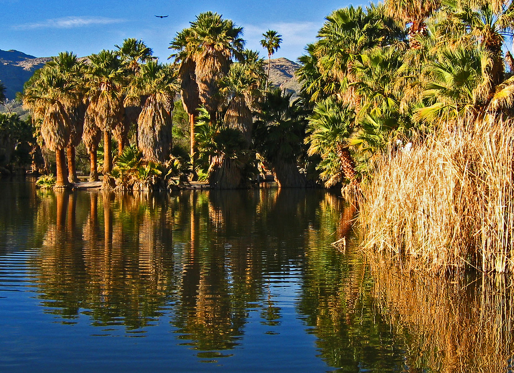 Agua Caliente, Arizona