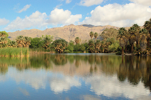 Agua Caliente, Tuscon, Arizona