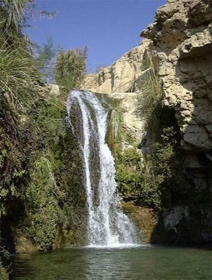 Ein Gedi Oasis