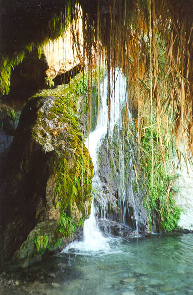 Ein Gedi Waterfall
