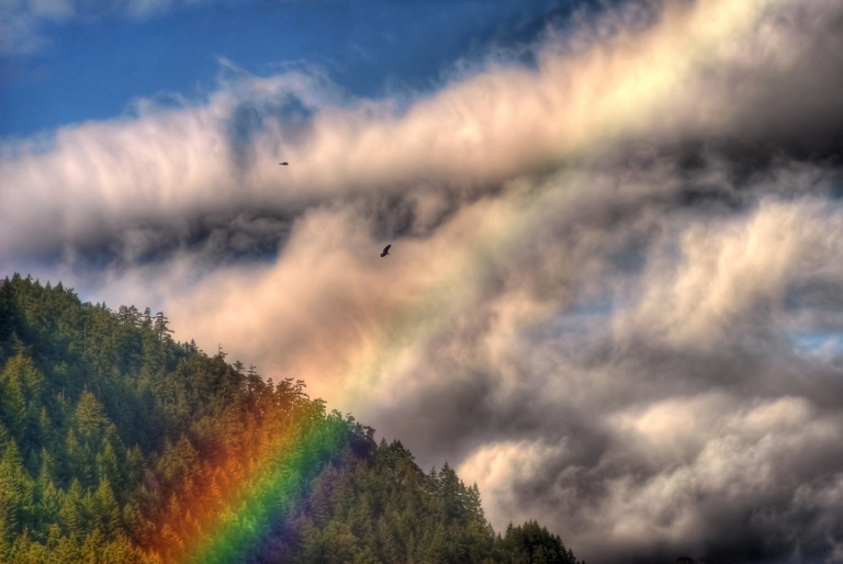 Beautiful Rainbow