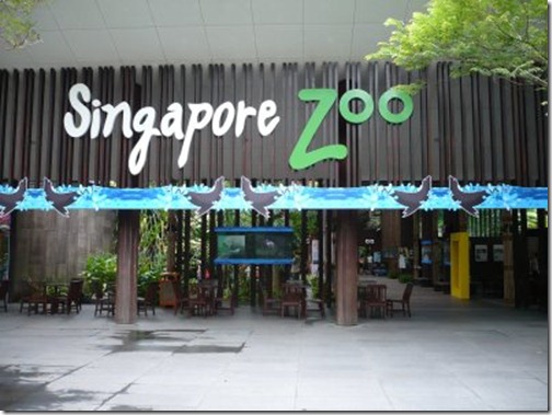 Singapore Zoo - Ten Best Zoos