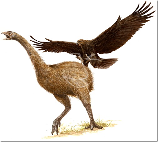 Haast - Ten Dangerous Prehistoric Birds