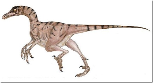 Troodon - Ten Most Dangerous Dinosaurs